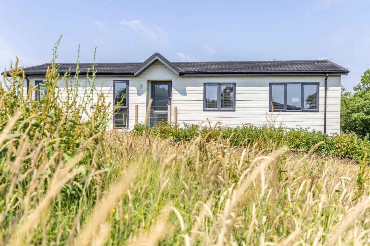 Rose Lodge, 21 Roadford Lake Lodges Lifton المظهر الخارجي الصورة